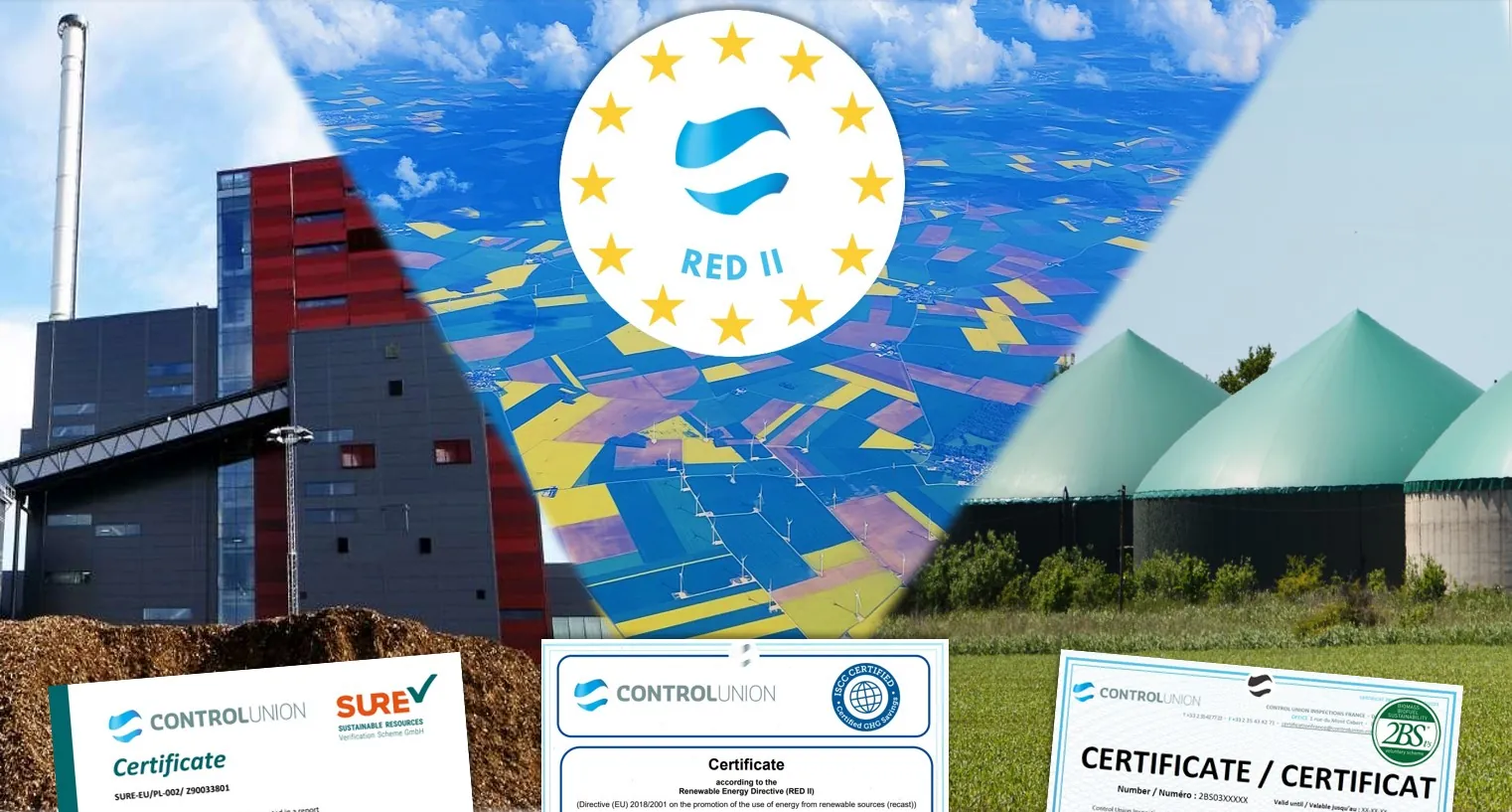Différents Certificats RED II